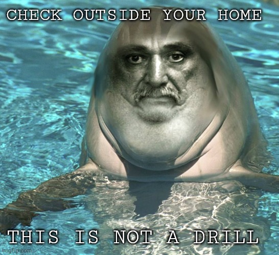 Dolphin Old Man | CHECK OUTSIDE YOUR HOME; THIS IS NOT A DRILL | image tagged in dolphin old man | made w/ Imgflip meme maker