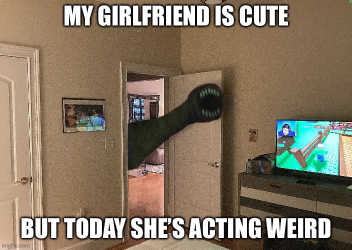 The bedroom stalker | MY GIRLFRIEND IS CUTE; BUT TODAY SHE’S ACTING WEIRD | image tagged in bedroom stalker | made w/ Imgflip meme maker