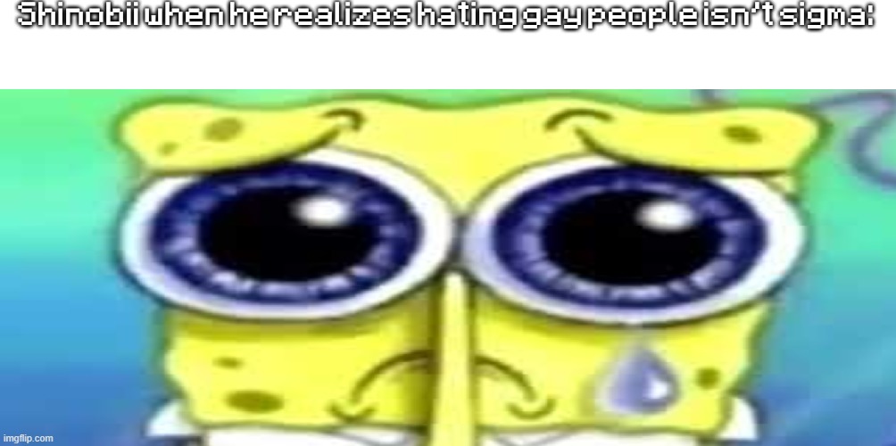 Sad Spong | Shinobii when he realizes hating gay people isn't sigma: | image tagged in sad spong | made w/ Imgflip meme maker