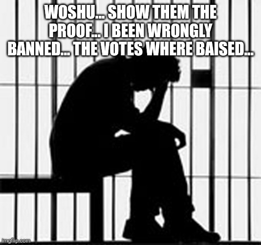 prison | WOSHU... SHOW THEM THE PROOF... I BEEN WRONGLY BANNED... THE VOTES WHERE BAISED... | image tagged in prison | made w/ Imgflip meme maker
