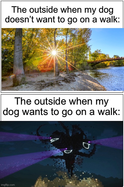 Blank Comic Panel 1x2 Meme | The outside when my dog doesn’t want to go on a walk:; The outside when my dog wants to go on a walk: | image tagged in memes,dog,relatable,minecraft story mode,funny | made w/ Imgflip meme maker