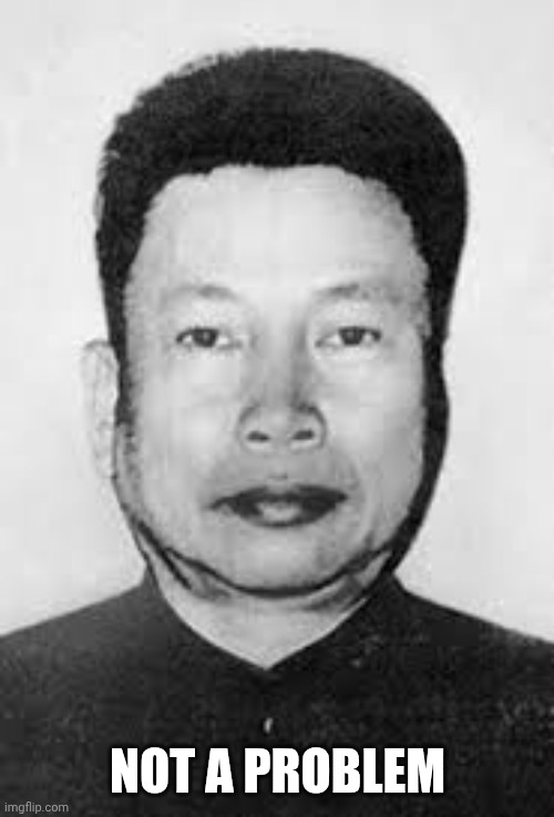pol pot | NOT A PROBLEM | image tagged in pol pot | made w/ Imgflip meme maker