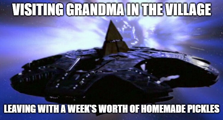 Ha'tak | VISITING GRANDMA IN THE VILLAGE; LEAVING WITH A WEEK'S WORTH OF HOMEMADE PICKLES | image tagged in ha'tak,slavic lives matter,slavic stargate | made w/ Imgflip meme maker