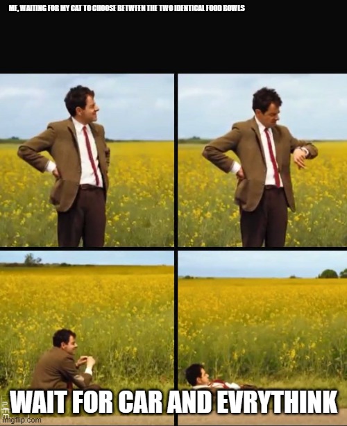 Mr bean waiting | ME, WAITING FOR MY CAT TO CHOOSE BETWEEN THE TWO IDENTICAL FOOD BOWLS; WAIT FOR CAR AND EVRYTHINK | image tagged in mr bean waiting | made w/ Imgflip meme maker
