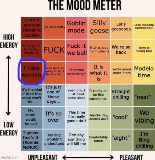 The mood meter | image tagged in the mood meter | made w/ Imgflip meme maker