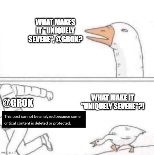Goose Chase | WHAT MAKES IT "UNIQUELY SEVERE", @GROK? WHAT MAKE IT "UNIQUELY SEVERE"?! @GROK | image tagged in goose chase | made w/ Imgflip meme maker