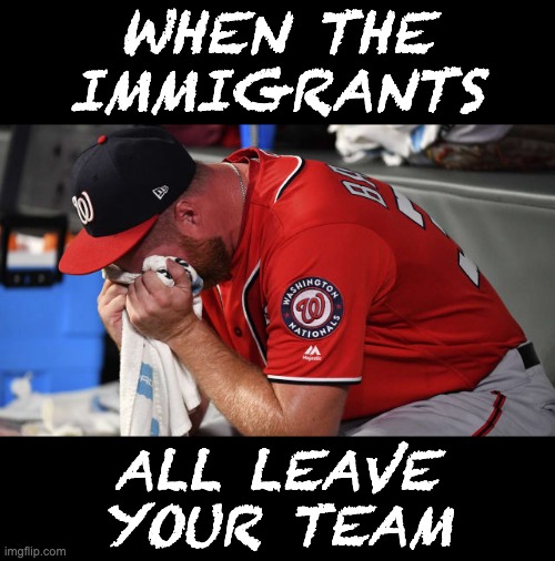 WHEN THE IMMIGRANTS ALL LEAVE
YOUR TEAM | made w/ Imgflip meme maker