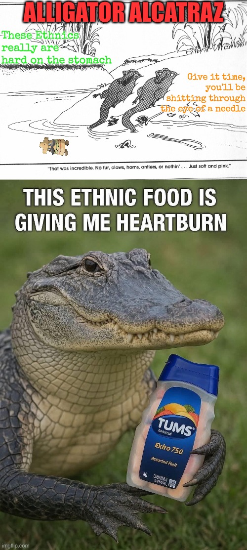 Save our Everglades, Feed the Alligators | ALLIGATOR ALCATRAZ; These Ethnics really are hard on the stomach; Give it time, you'll be shitting through the eye of a needle | made w/ Imgflip meme maker