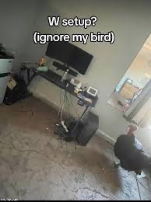image tagged in msmg | made w/ Imgflip meme maker