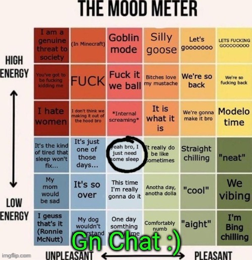 The mood meter | Gn Chat :) | image tagged in the mood meter | made w/ Imgflip meme maker