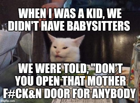 Smudge that darn cat | WHEN I WAS A KID, WE DIDN'T HAVE BABYSITTERS; WE WERE TOLD, "DON'T YOU OPEN THAT MOTHER F#CK&N DOOR FOR ANYBODY | image tagged in smudge that darn cat | made w/ Imgflip meme maker