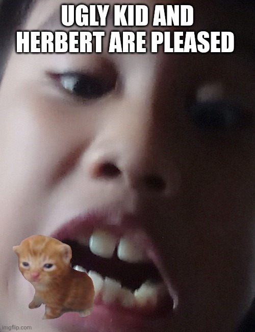 Disgust ugly kid | UGLY KID AND HERBERT ARE PLEASED | image tagged in disgust ugly kid | made w/ Imgflip meme maker