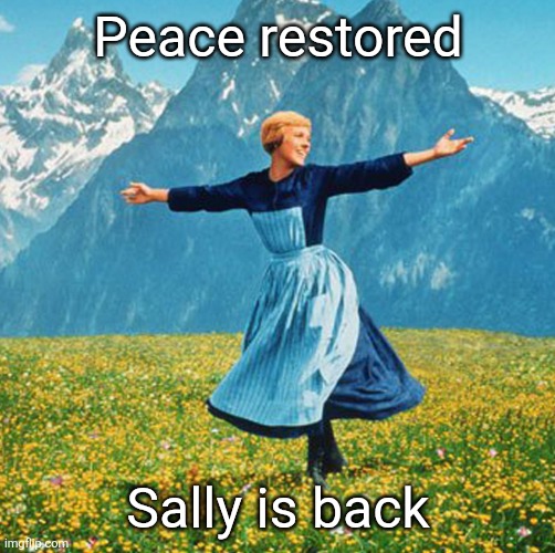Woman in flowers | Peace restored; Sally is back | image tagged in woman in flowers | made w/ Imgflip meme maker