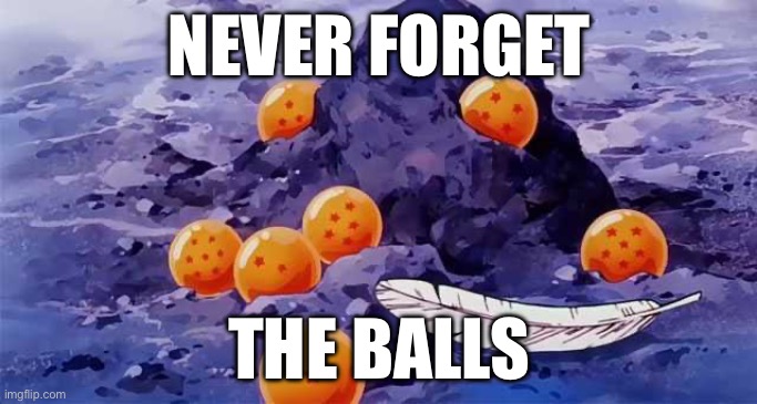 Dragon Ball opening | NEVER FORGET; THE BALLS | image tagged in dragon ball opening | made w/ Imgflip meme maker