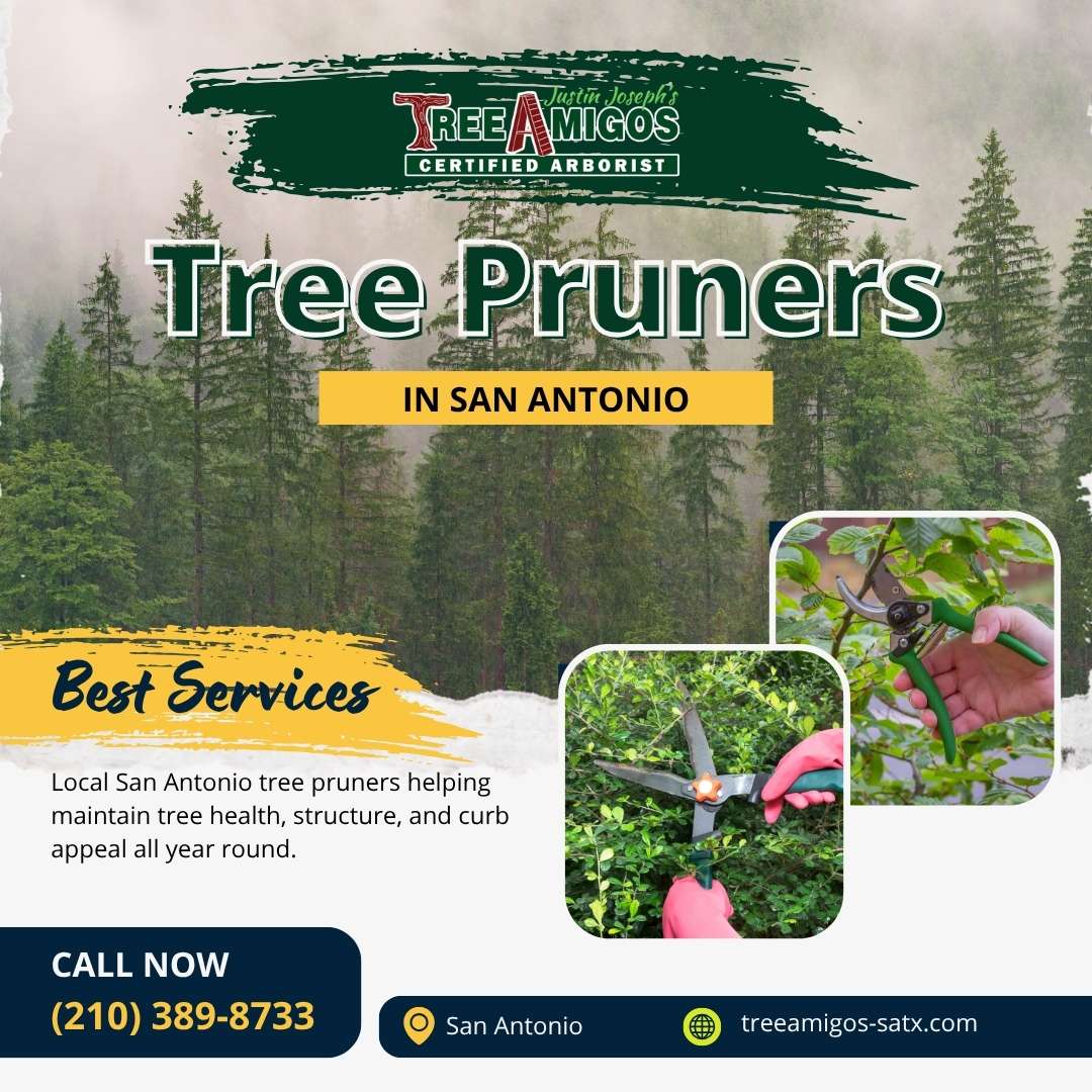 Tree Pruners in San Antonio Blank Meme Template