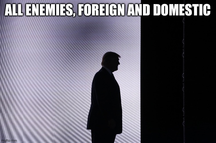 Enemies foreign and domestic | ALL ENEMIES, FOREIGN AND DOMESTIC | image tagged in enemies foreign and domestic | made w/ Imgflip meme maker