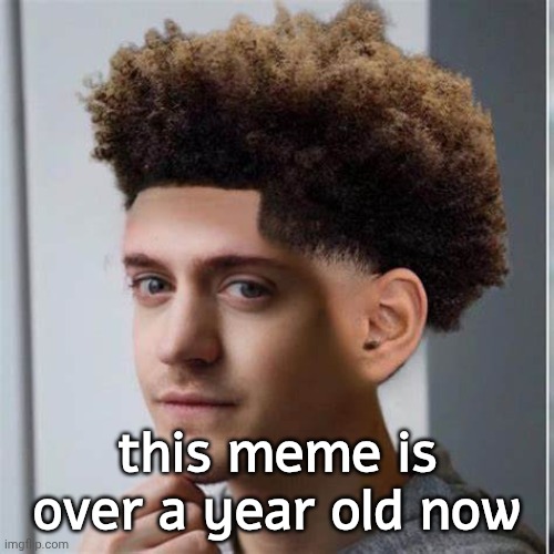 ninja low taper fade | this meme is over a year old now | image tagged in ninja low taper fade | made w/ Imgflip meme maker