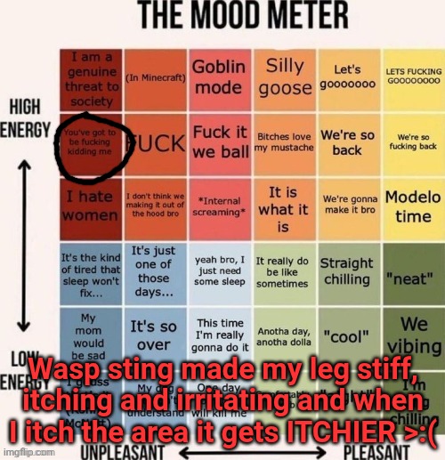 Luckily I'm not allergic | Wasp sting made my leg stiff, itching and irritating and when I itch the area it gets ITCHIER >:( | image tagged in the mood meter | made w/ Imgflip meme maker