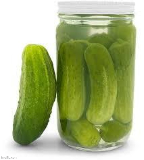 jar o pickles | image tagged in jar o pickles | made w/ Imgflip meme maker