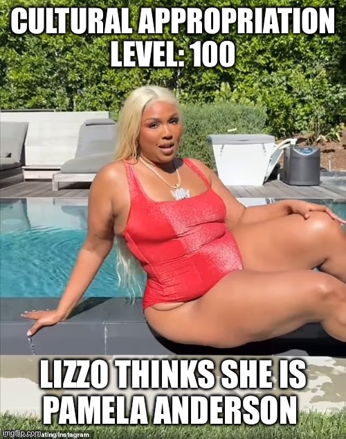 1. Not blonde.  2. Not White.  3. Not svelte.Why is it only allowed when liberals do it? | CULTURAL APPROPRIATION
LEVEL: 100; LIZZO THINKS SHE IS
PAMELA ANDERSON | image tagged in cultural appropriation,lizzo,pamela anderson | made w/ Imgflip meme maker