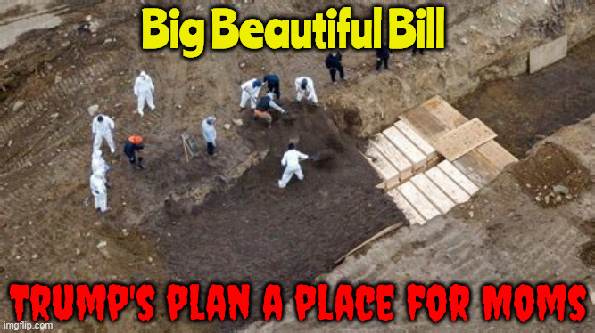 Trump has a place for Moms | Big Beautiful Bill; Trump's plan a place for Moms | image tagged in trump has a place for moms,unplugging grandma,billioinares bonaza,american auschwits,lies made promises brioken,maga murder | made w/ Imgflip meme maker