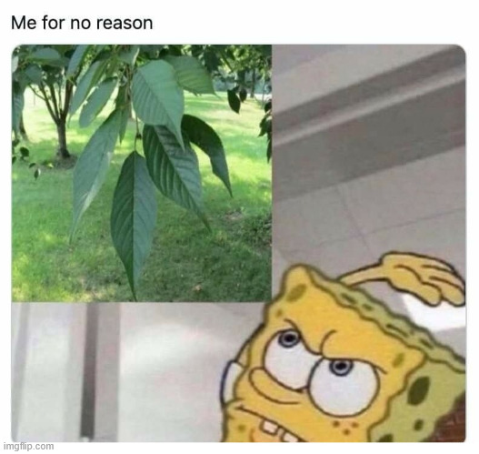 Me | image tagged in spongebob,memes,climbing,lattice climbing,outdoor,camping | made w/ Imgflip meme maker