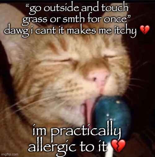 i do promise tho that i have seen sun my arms and face can confirm as they’re currently burnt | “go outside and touch grass or smth for once”
dawg i cant it makes me itchy 💔; im practically allergic to it 💔 | image tagged in silly goober 2 | made w/ Imgflip meme maker