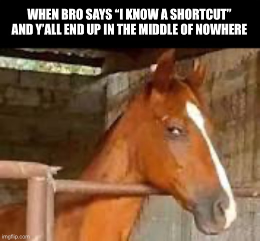Are we even in the same country anymore atp | WHEN BRO SAYS “I KNOW A SHORTCUT” AND Y’ALL END UP IN THE MIDDLE OF NOWHERE | image tagged in horse side eye | made w/ Imgflip meme maker