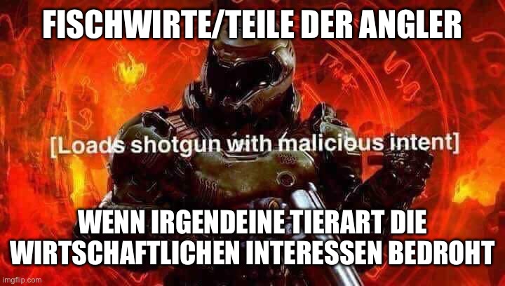 9zkbmt.jpg