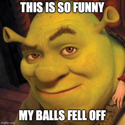 Shrek Sexy Face | THIS IS SO FUNNY MY BALLS FELL OFF | image tagged in shrek sexy face | made w/ Imgflip meme maker