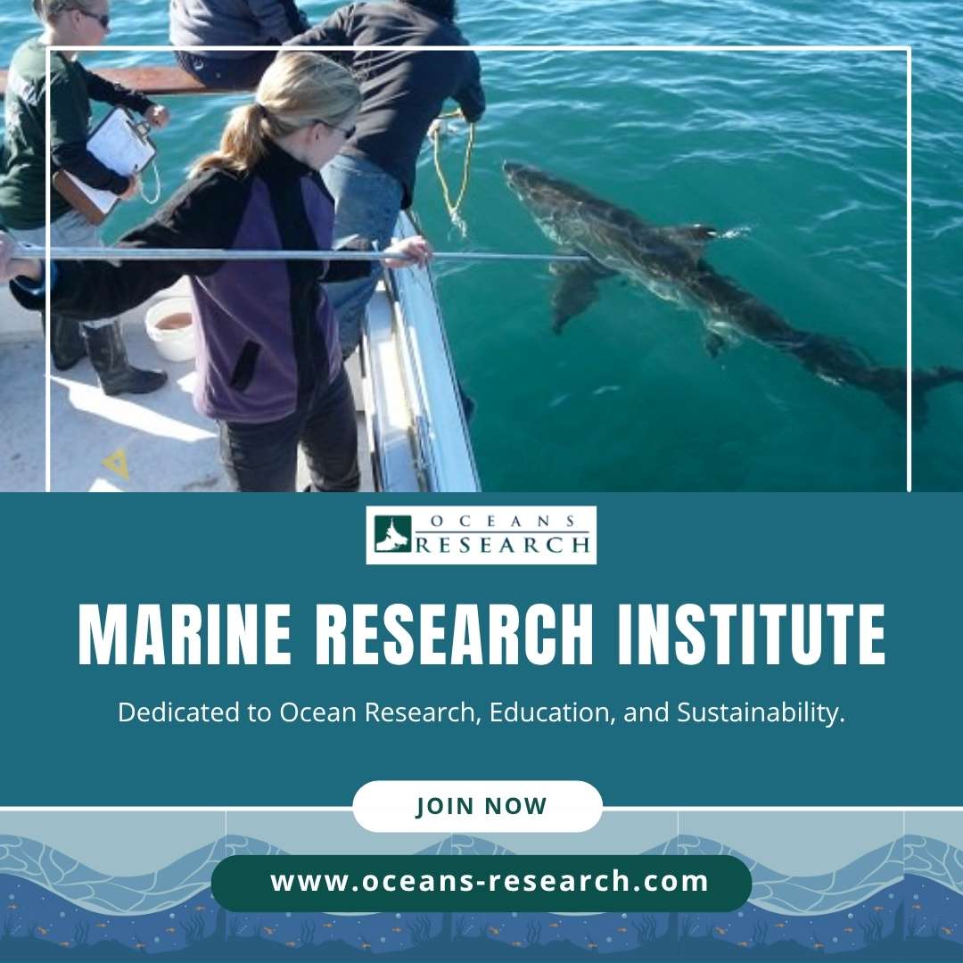Marine Research Institute Blank Meme Template