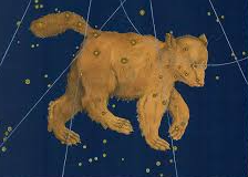 High Quality Ursa Minor Blank Meme Template