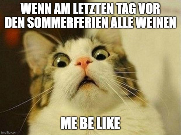 Scared Cat | WENN AM LETZTEN TAG VOR DEN SOMMERFERIEN ALLE WEINEN; ME BE LIKE | image tagged in memes,scared cat | made w/ Imgflip meme maker