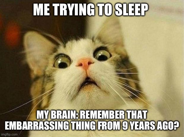 Scared Cat | ME TRYING TO SLEEP; MY BRAIN: REMEMBER THAT EMBARRASSING THING FROM 9 YEARS AGO? | image tagged in memes,scared cat | made w/ Imgflip meme maker