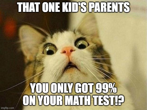 Scared Cat | THAT ONE KID'S PARENTS; YOU ONLY GOT 99% ON YOUR MATH TEST!? | image tagged in memes,scared cat | made w/ Imgflip meme maker