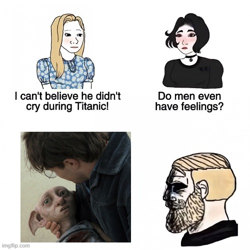 definitely a tear-jerker | image tagged in do men even have feelings,harry potter,chad,sad,memes,relatable | made w/ Imgflip meme maker