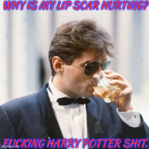 Damn Cat Gave It To Me..... | WHY IS MY LIP SCAR HURTING? FUCKING HARRY POTTER SHIT. | image tagged in falco unsee potion iii,scarface,angry cat,harry potter,parallel universe | made w/ Imgflip meme maker
