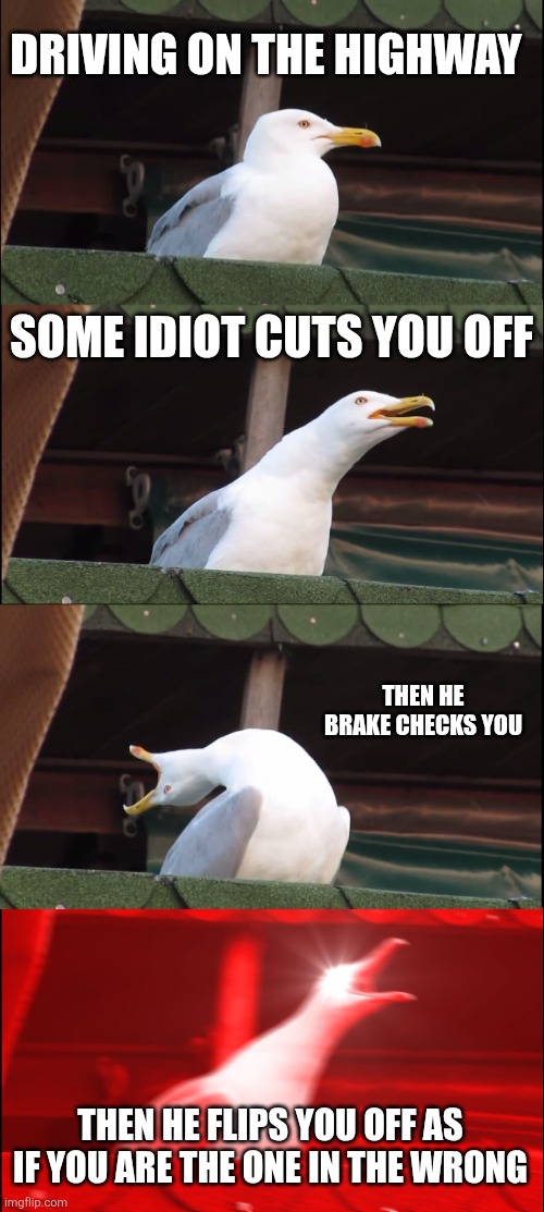 I hate when that happens | DRIVING ON THE HIGHWAY; SOME IDIOT CUTS YOU OFF; THEN HE BRAKE CHECKS YOU; THEN HE FLIPS YOU OFF AS IF YOU ARE THE ONE IN THE WRONG | image tagged in memes,inhaling seagull | made w/ Imgflip meme maker