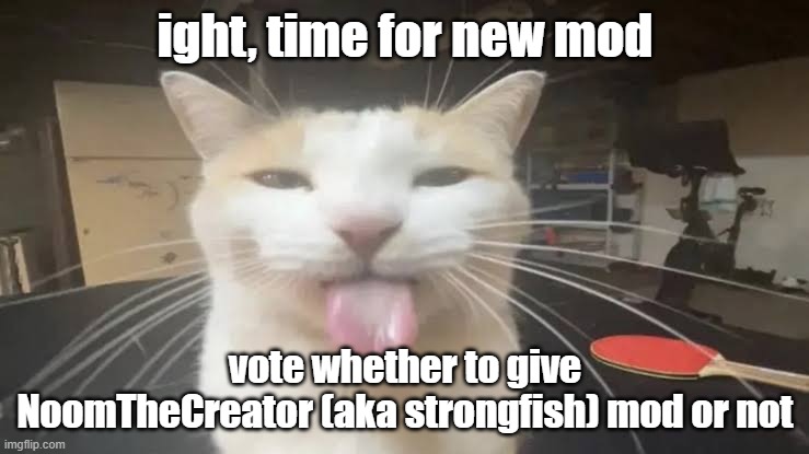 Milly the silly cat Bleh Cat | ight, time for new mod; vote whether to give NoomTheCreator (aka strongfish) mod or not | image tagged in milly the silly cat bleh cat,sans of topic | made w/ Imgflip meme maker