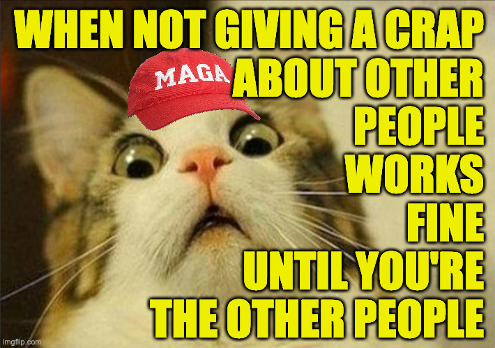 Some people don't inherit the logic gene from either parent. | WHEN NOT GIVING A CRAP 
ABOUT OTHER 
PEOPLE 
WORKS 
FINE 
UNTIL YOU'RE 
THE OTHER PEOPLE | image tagged in memes,maga,fafo | made w/ Imgflip meme maker