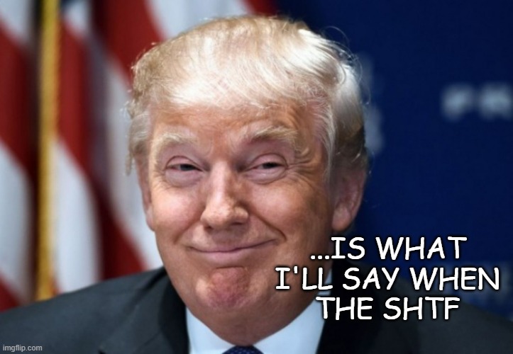 donald trump | ...IS WHAT
I'LL SAY WHEN
THE SHTF | image tagged in donald trump | made w/ Imgflip meme maker