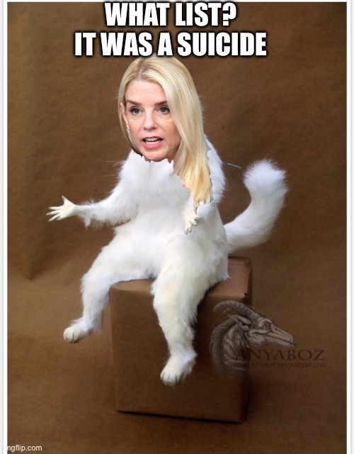 Pam Bondi this week | WHAT LIST? IT WAS A SUICIDE | made w/ Imgflip meme maker