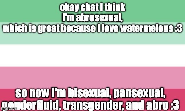 :333 | okay chat I think I'm abrosexual, which is great because I love watermelons :3; so now I'm bisexual, pansexual, genderfluid, transgender, and abro :3 | image tagged in abro fleg | made w/ Imgflip meme maker