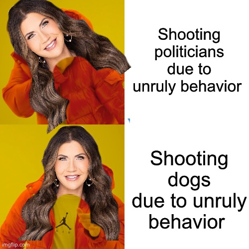 Drake Hotline Bling Meme | Shooting politicians due to unruly behavior Shooting dogs due to unruly behavior | image tagged in memes,drake hotline bling | made w/ Imgflip meme maker