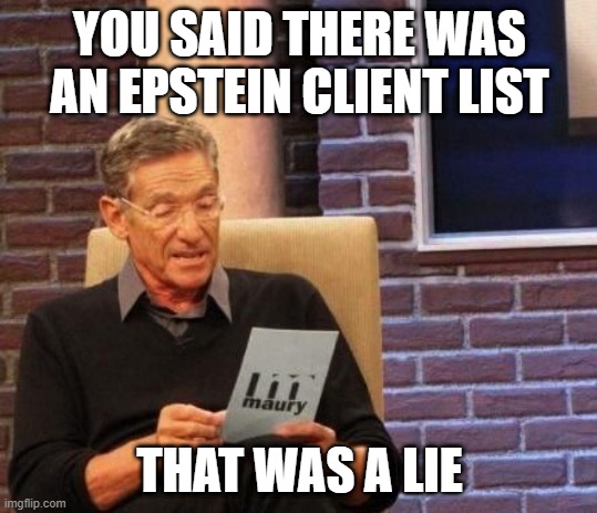 Maury Povich "That was a Lie"  | YOU SAID THERE WAS AN EPSTEIN CLIENT LIST; THAT WAS A LIE | image tagged in maury povich that was a lie | made w/ Imgflip meme maker