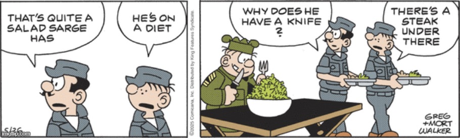 Beetle Bailey | image tagged in comics | made w/ Imgflip meme maker