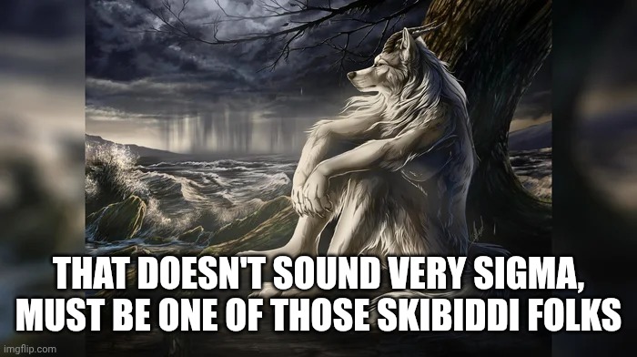 Sigma Wolf | THAT DOESN'T SOUND VERY SIGMA, MUST BE ONE OF THOSE SKIBIDDI FOLKS | image tagged in sigma wolf | made w/ Imgflip meme maker