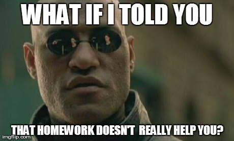 Matrix Morpheus Meme | WHAT IF I TOLD YOU THAT HOMEWORK DOESN'T  REALLY HELP YOU? | image tagged in memes,matrix morpheus | made w/ Imgflip meme maker