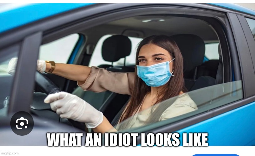 Hypochondriac | WHAT AN IDIOT LOOKS LIKE | image tagged in face mask | made w/ Imgflip meme maker