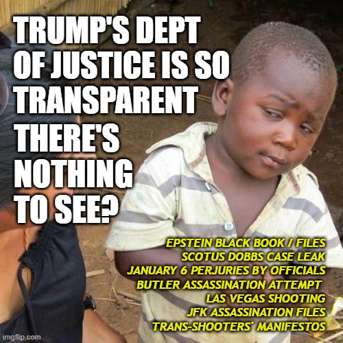 I'm Looking Through You, Where Did You Go? | TRUMP'S DEPT OF JUSTICE IS SO 
TRANSPARENT; THERE'S NOTHING TO SEE? EPSTEIN BLACK BOOK / FILES
SCOTUS DOBBS CASE LEAK
JANUARY 6 PERJURIES BY OFFICIALS
BUTLER ASSASSINATION ATTEMPT 
LAS VEGAS SHOOTING
JFK ASSASSINATION FILES
TRANS-SHOOTERS' MANIFESTOS | image tagged in doj,fbi,epstein,butler,transgender | made w/ Imgflip meme maker